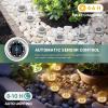 imageSOLPEX Mini Solar Ground Lights 10 Pack Solar Lights Outdoor Waterproof Pathway Lights Solar Powered Solar Garden Lights Landscape Lighting for Yard Driveway Walkway Warm WhiteWarm White