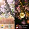 imageSolpex Hanging Solar Lights Outdoor 8 Pack Decorative Cracked Glass Ball Light Solar Powered Waterproof Globe Lighting Hanging Globe Solar Lights for Garden Yard Patio Lawn Flower BedWarm White
