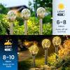 imageSOLPEX Solar Garden Lights Outdoor 3 Pack MultiColor ChangingampampWhite 2 Modes Solar Powered Glass Ball Garden Lights Waterproof for Patio DecorationWarm White