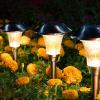 image:imageSOLPEX 8 Pack Solar Garden Lights Solar Lights Outdoor Waterproof Glass Stainless Steel Automatic Outdoor Solar Lights for Yard Lawn Patio Garden Path Walkway or DrivewayWarm White
